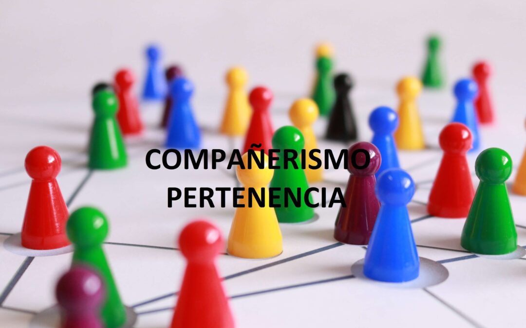 Primer año + Jornada Institucional en Valores