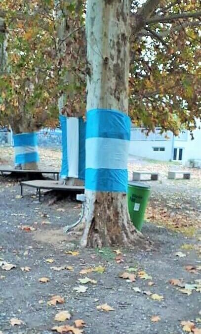 “¡Seamos libres, que lo demás no importa!”– General San Martín