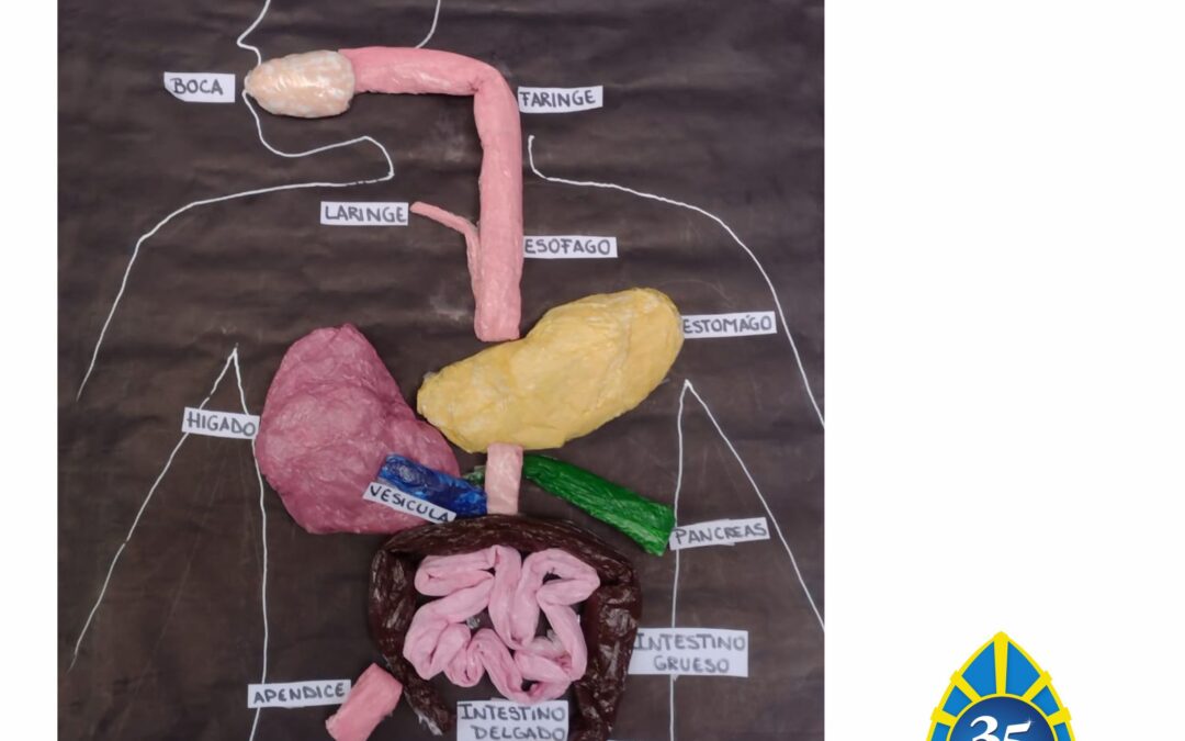Aprendemos con maquetas