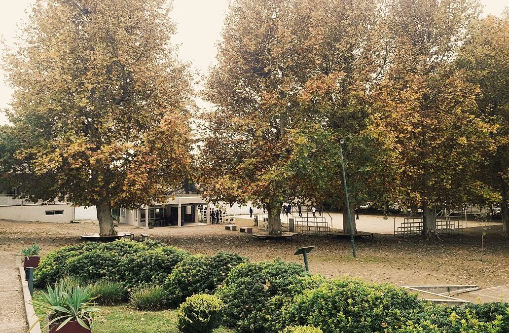 Saludos en tiempos de «Aislamiento…»