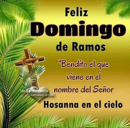 Domingo de Ramos: inicio de Semana Santa