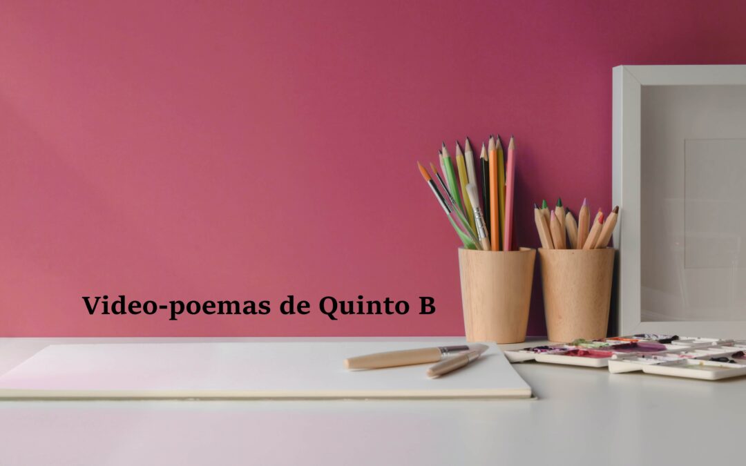Video-poemas de Quinto año B
